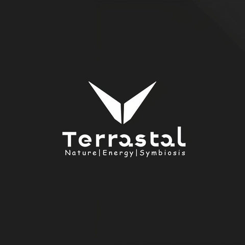 Terrastal Hot Item